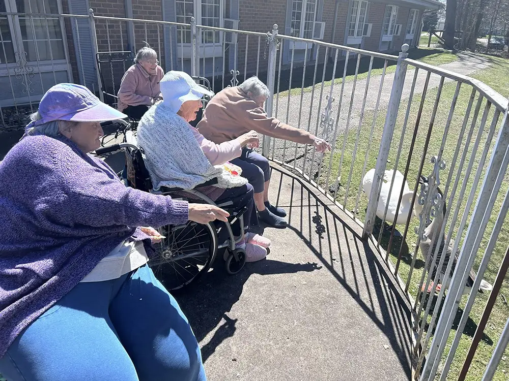 Three elderly women, two in wheelchairs, reach through a gated fence to pet or feed two goats outside on a sunny day at a care facility. Three elderly women, two in wheelchairs, reach through a gated fence to pet or feed two goats outside on a sunny day at a care facility.