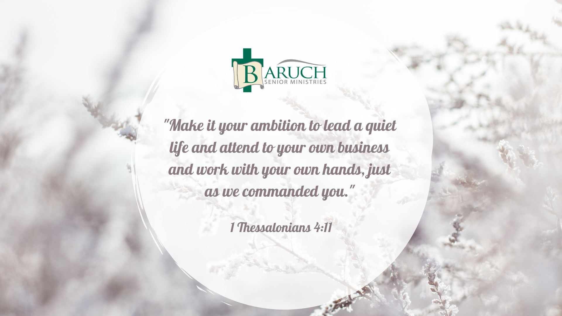 A Bible verse and Baruch Senior Ministries logo are centered on a blurred background of frosty branches. The text quotes 1 Thessalonians 4:11, reminding us to lead a quiet, hardworking life—even through unexpected moments and life surprises.