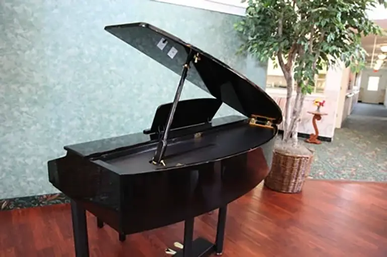 HydePark-8 A black grand piano with its lid open sits on a wooden floor next to a large potted plant in a room with green walls.