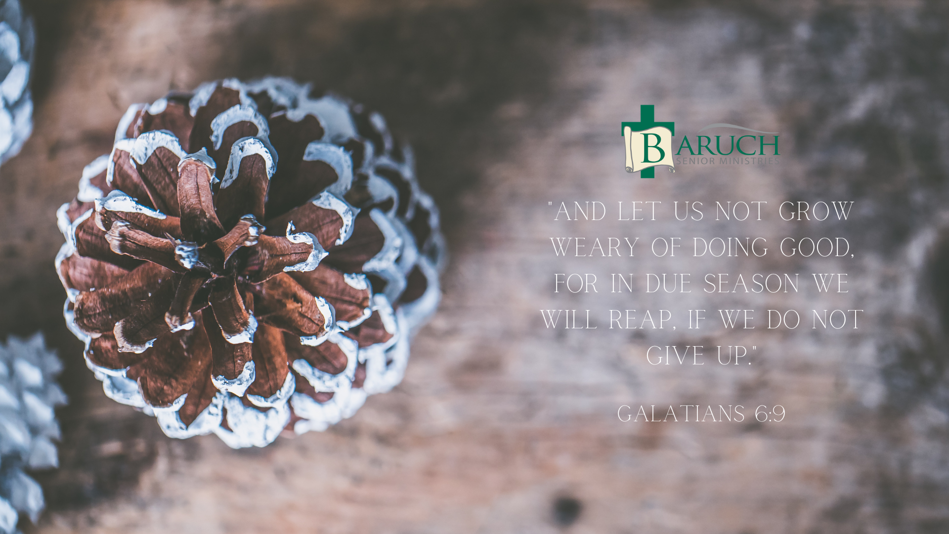 Close-up of pinecones with white tips on a wooden surface; overlay text features a quote from Galatians 6:9 about perseverance and the Baruch Bend Ministries logo.