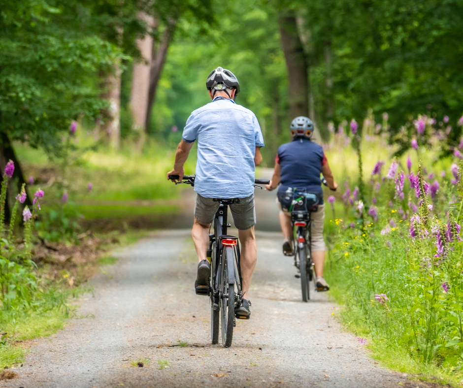 Two people wearing helmets ride bicycles on a gravel path through a green, wooded area with tall wildflowers on both sides, enjoying the scenery featured in the Baruch Senior Ministries September Newsletter 2023.