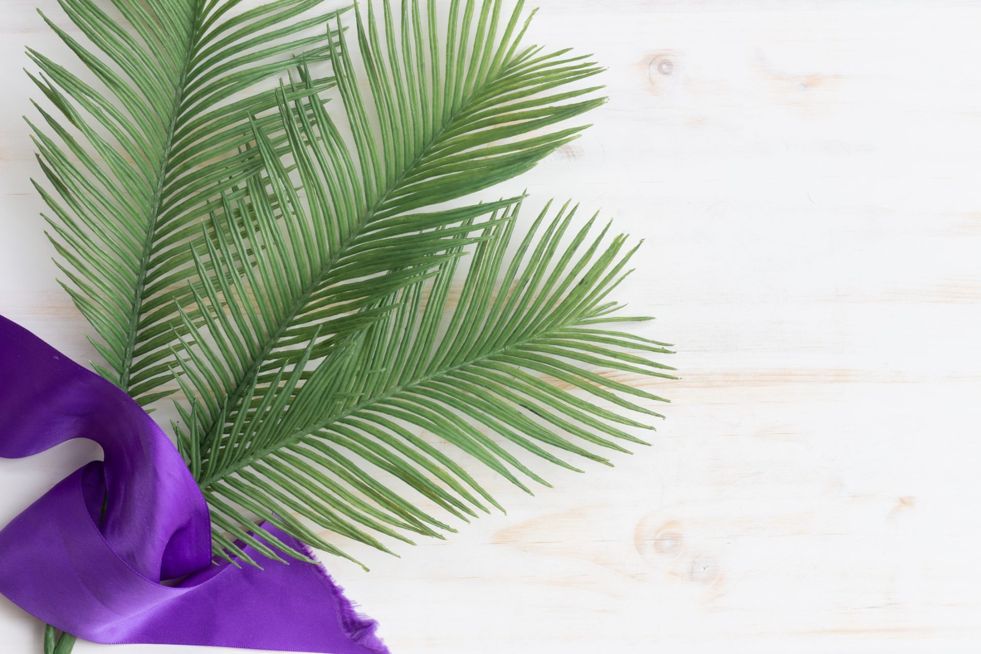 Two green palm fronds are arranged on a light wooden surface, with a purple fabric ribbon draped across the bottom left corner—perfect for a Holy Week or spiritual care April blog post.