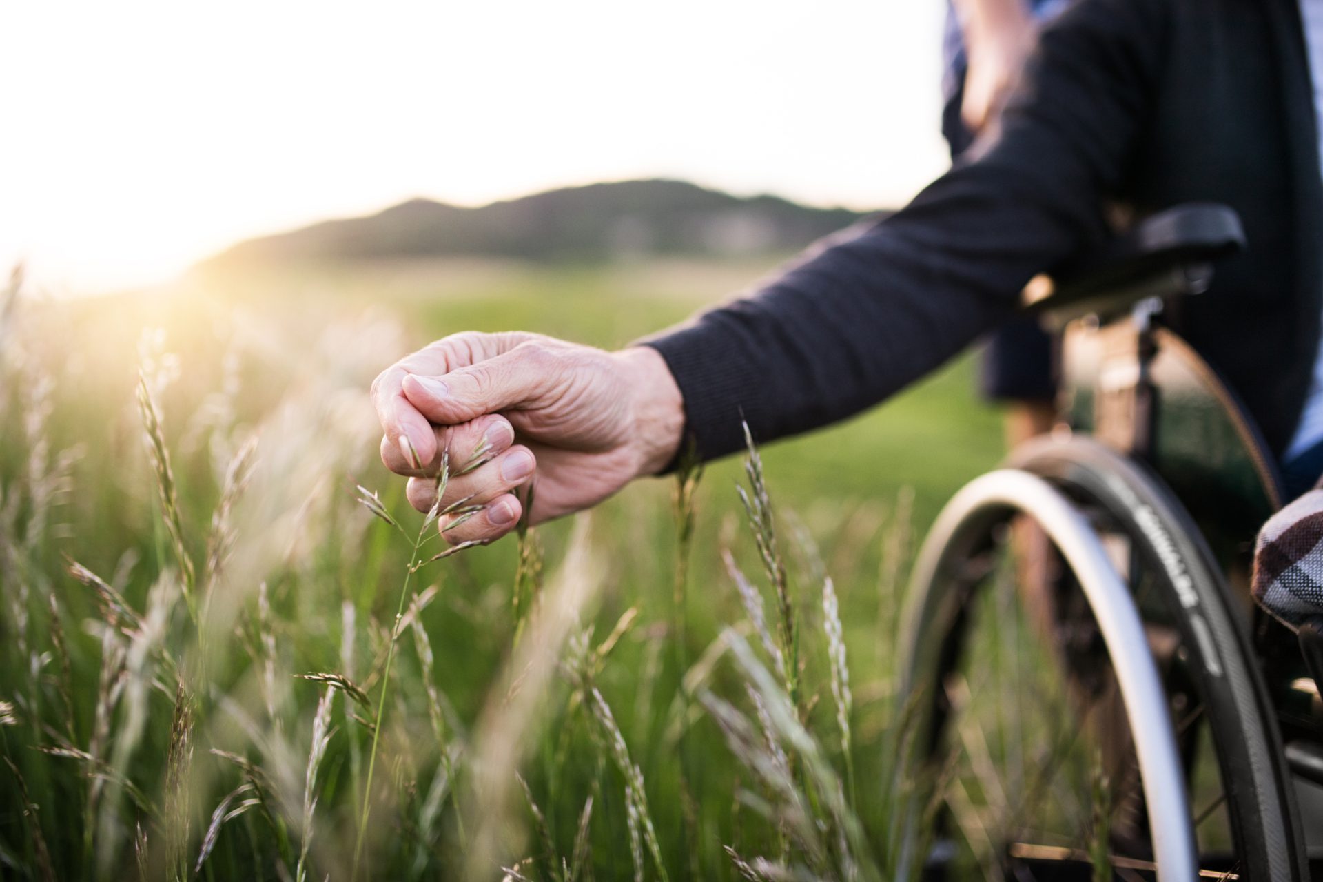 A person in a wheelchair extends a hand to touch tall grass in a sunlit outdoor field, finding comfort and support in nature's gentle embrace.